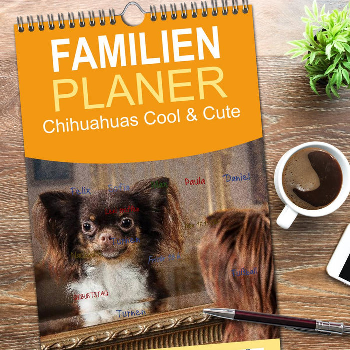 Chihuahuas - Cool and Cute (CALVENDO Familienplaner 2026)