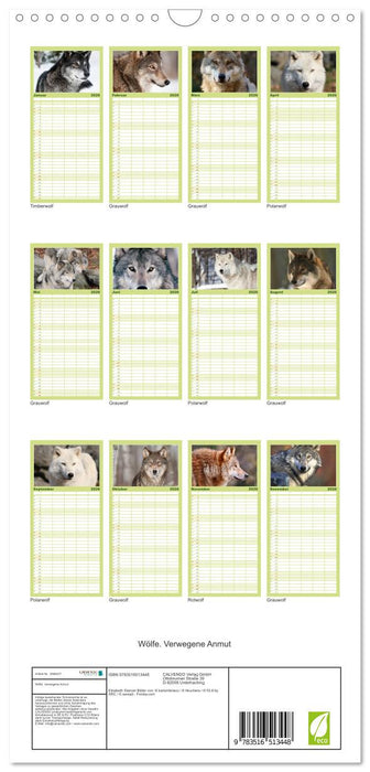 Wölfe. Verwegene Anmut (CALVENDO Familienplaner 2026)