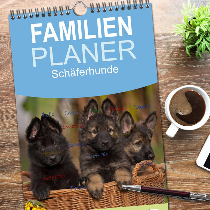 Der Schäferhunde Familienplaner hoch (CALVENDO Familienplaner 2026)