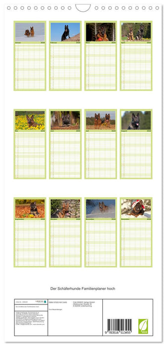 Der Schäferhunde Familienplaner hoch (CALVENDO Familienplaner 2026)