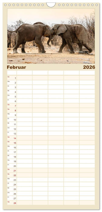 Facetten Namibias (CALVENDO Familienplaner 2026)