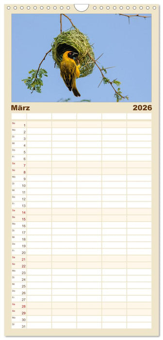 Facetten Namibias (CALVENDO Familienplaner 2026)