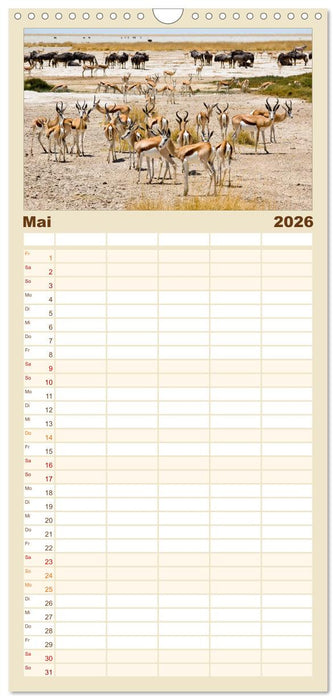 Facetten Namibias (CALVENDO Familienplaner 2026)