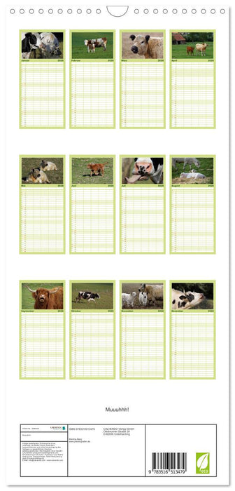 Muuuhhh! (CALVENDO Familienplaner 2026)