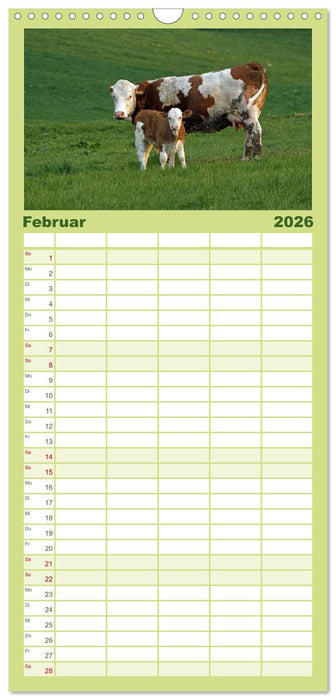 Muuuhhh! (CALVENDO Familienplaner 2026)