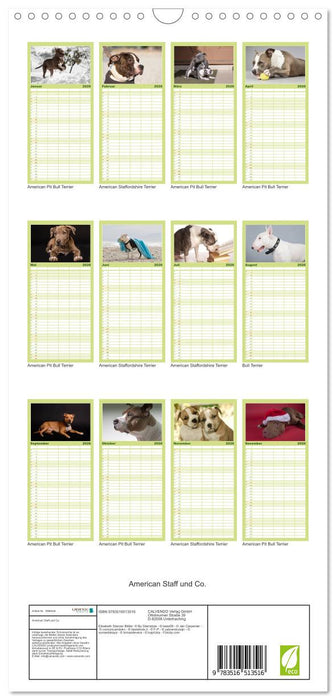American Staff und Co. (CALVENDO Familienplaner 2026)
