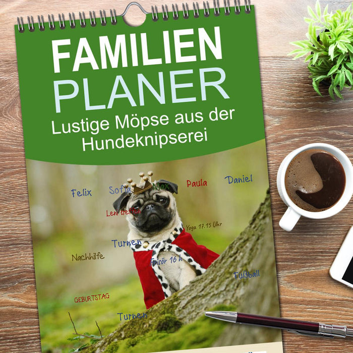 Lustige Möpse aus der Hundeknipserei (CALVENDO Familienplaner 2026)