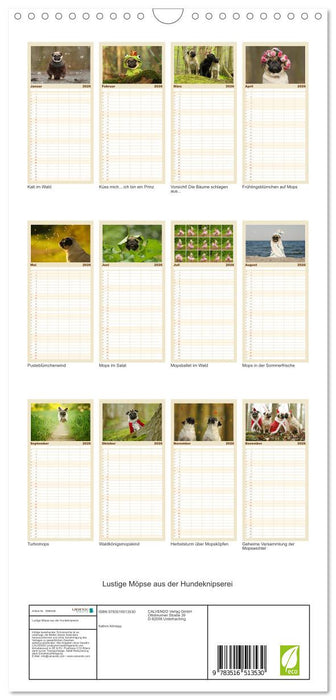 Lustige Möpse aus der Hundeknipserei (CALVENDO Familienplaner 2026)