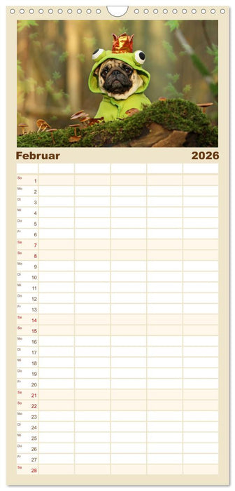 Lustige Möpse aus der Hundeknipserei (CALVENDO Familienplaner 2026)