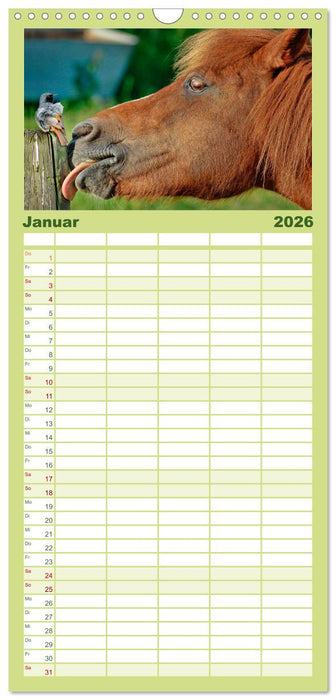 Lustig und verrückt - der ganz andere Tierkalender (CALVENDO Familienplaner 2026)