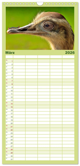 Lustig und verrückt - der ganz andere Tierkalender (CALVENDO Familienplaner 2026)