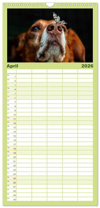 Lustig und verrückt - der ganz andere Tierkalender (CALVENDO Familienplaner 2026)