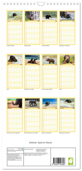 Elefanten. Spaß am Wasser (CALVENDO Familienplaner 2026)