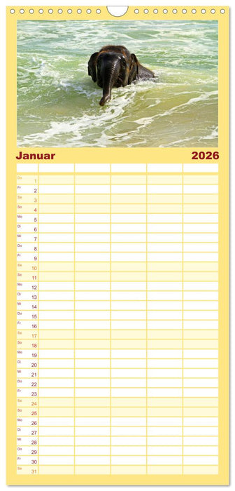 Elefanten. Spaß am Wasser (CALVENDO Familienplaner 2026)