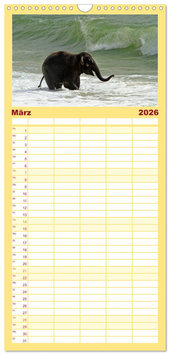 Elefanten. Spaß am Wasser (CALVENDO Familienplaner 2026)