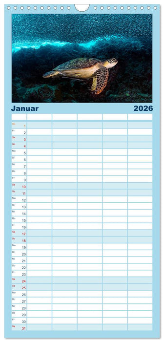 Schildkröten des Ozeans (CALVENDO Familienplaner 2026)