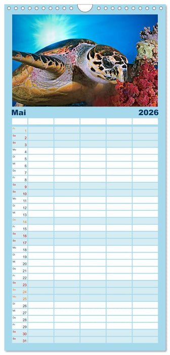 Schildkröten des Ozeans (CALVENDO Familienplaner 2026)