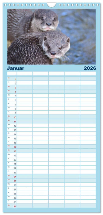 Otter. Frech, laut und clever (CALVENDO Familienplaner 2026)