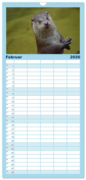 Otter. Frech, laut und clever (CALVENDO Familienplaner 2026)