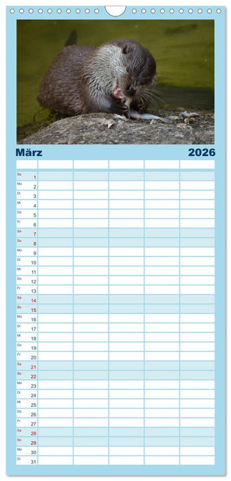 Otter. Frech, laut und clever (CALVENDO Familienplaner 2026)