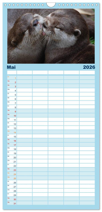 Otter. Frech, laut und clever (CALVENDO Familienplaner 2026)