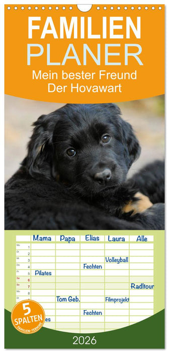 Mein bester Freund - Der Hovawart (CALVENDO Familienplaner 2026)