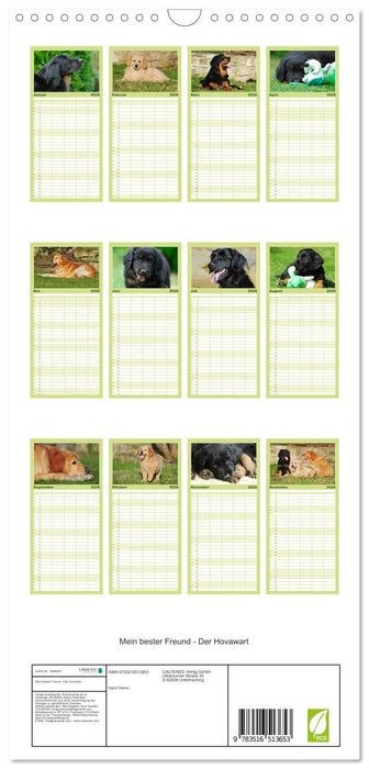Mein bester Freund - Der Hovawart (CALVENDO Familienplaner 2026)