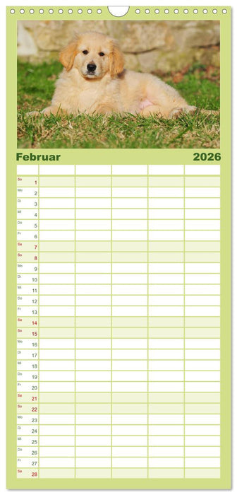 Mein bester Freund - Der Hovawart (CALVENDO Familienplaner 2026)