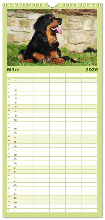 Mein bester Freund - Der Hovawart (CALVENDO Familienplaner 2026)