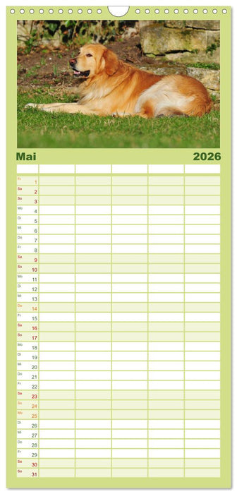 Mein bester Freund - Der Hovawart (CALVENDO Familienplaner 2026)