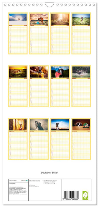 Deutscher Boxer (CALVENDO Familienplaner 2026)