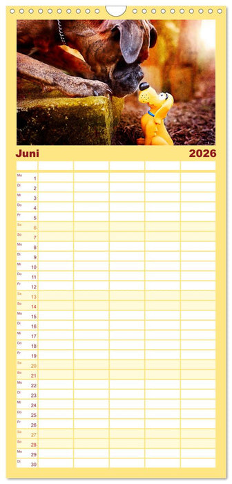 Deutscher Boxer (CALVENDO Familienplaner 2026)