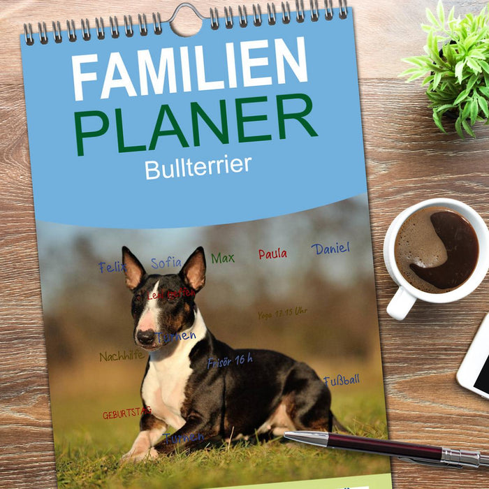 Bullterrier 2026 - Kleine Clowns mit großem Herz (CALVENDO Familienplaner 2026)