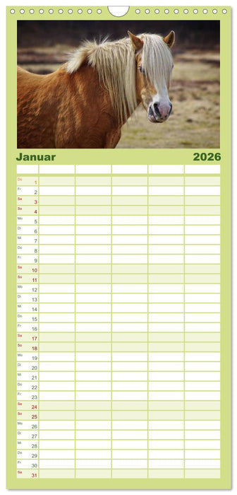 Der Pferdekalender (CALVENDO Familienplaner 2026)
