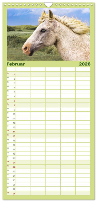 Der Pferdekalender (CALVENDO Familienplaner 2026)