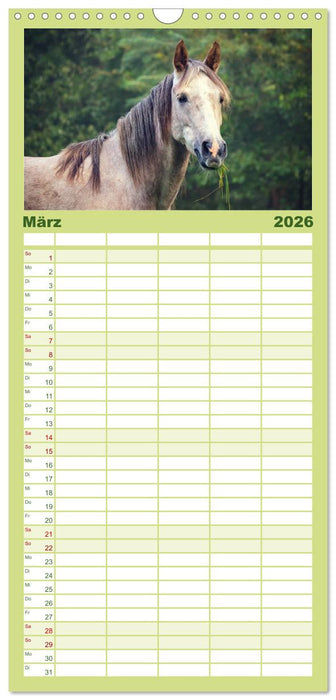 Der Pferdekalender (CALVENDO Familienplaner 2026)