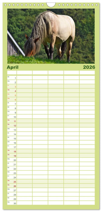 Der Pferdekalender (CALVENDO Familienplaner 2026)