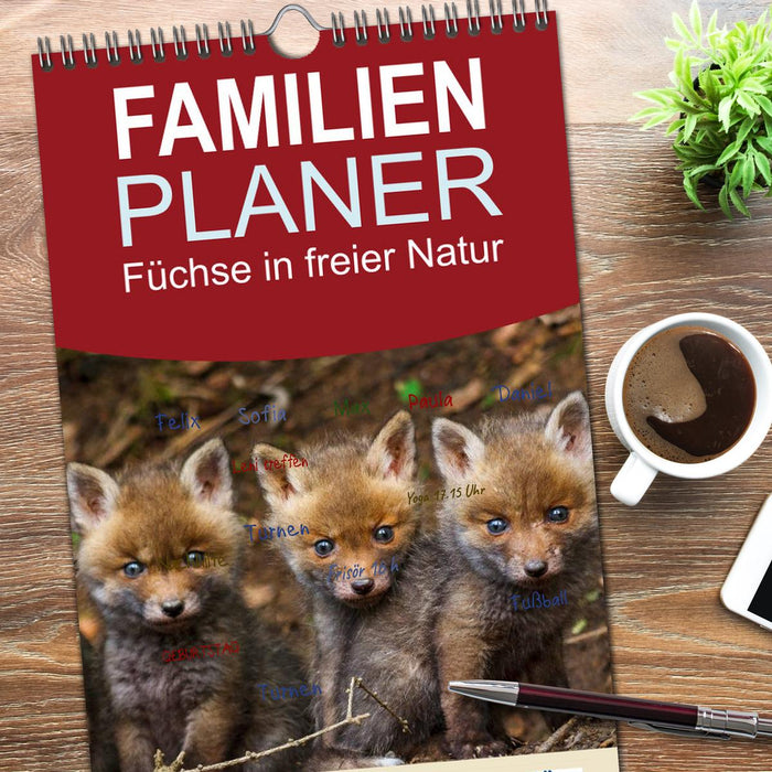 Füchse in freier Natur (CALVENDO Familienplaner 2026)