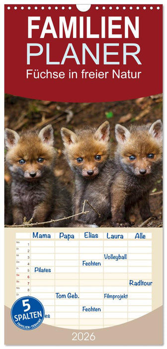 Füchse in freier Natur (CALVENDO Familienplaner 2026)