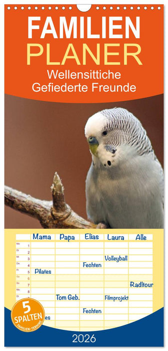 Wellensittiche - Gefiederte Freunde (CALVENDO Familienplaner 2026)