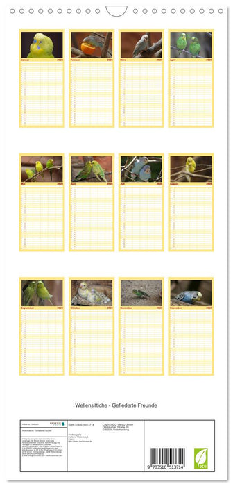 Wellensittiche - Gefiederte Freunde (CALVENDO Familienplaner 2026)