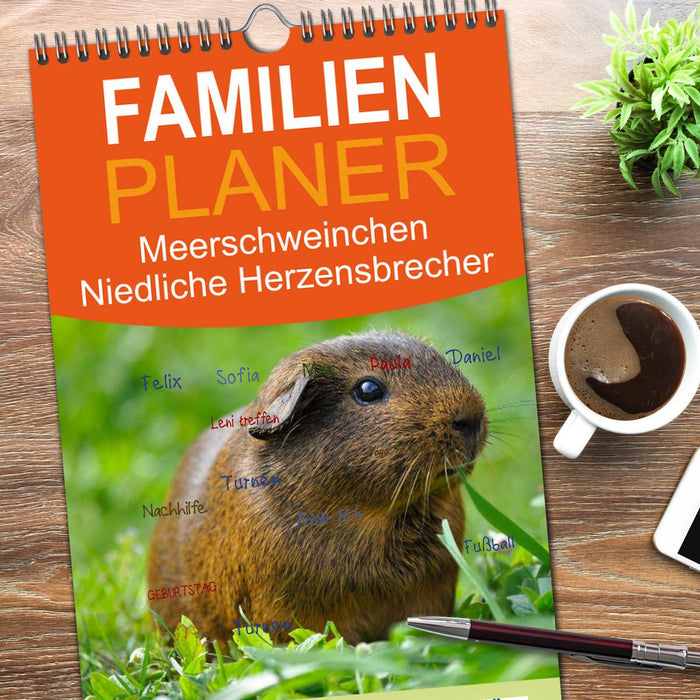 Meerschweinchen Niedliche Herzensbrecher (CALVENDO Familienplaner 2026)
