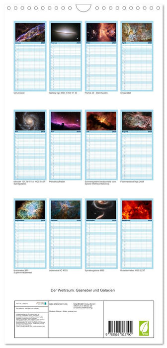 Der Weltraum. Gasnebel und Galaxien (CALVENDO Familienplaner 2026)