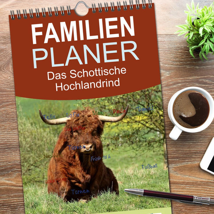 Das Schottische Hochlandrind (CALVENDO Familienplaner 2026)