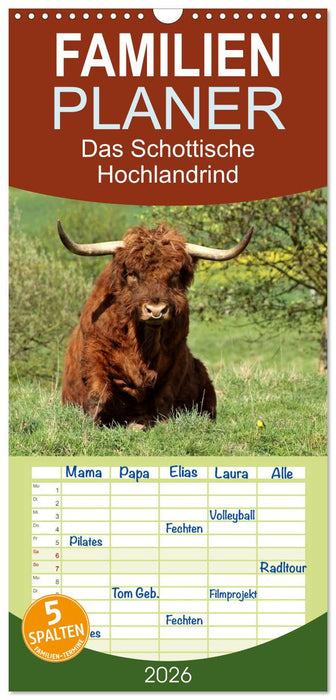 Das Schottische Hochlandrind (CALVENDO Familienplaner 2026)