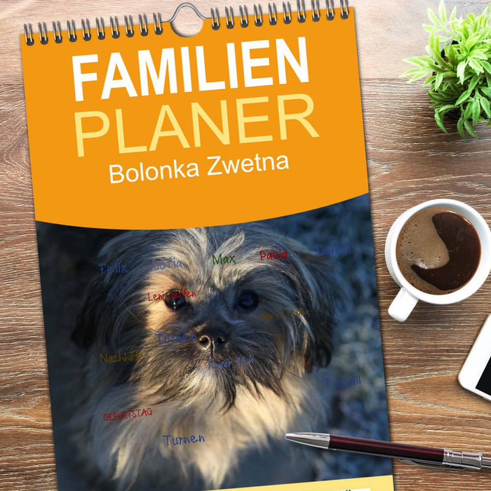 Bolonka Zwetna (CALVENDO Familienplaner 2026)