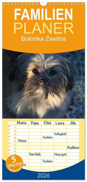 Bolonka Zwetna (CALVENDO Familienplaner 2026)