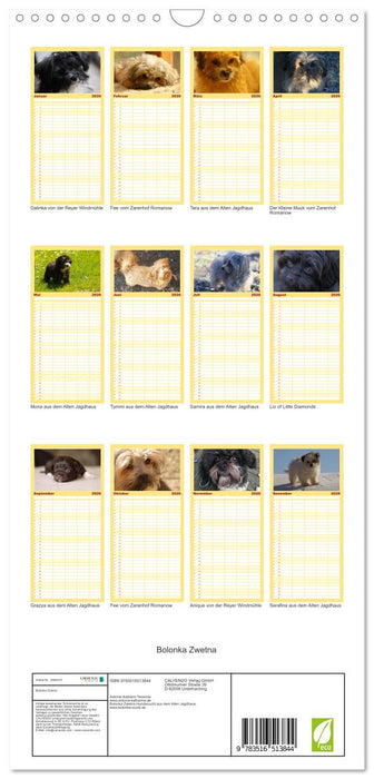 Bolonka Zwetna (CALVENDO Familienplaner 2026)