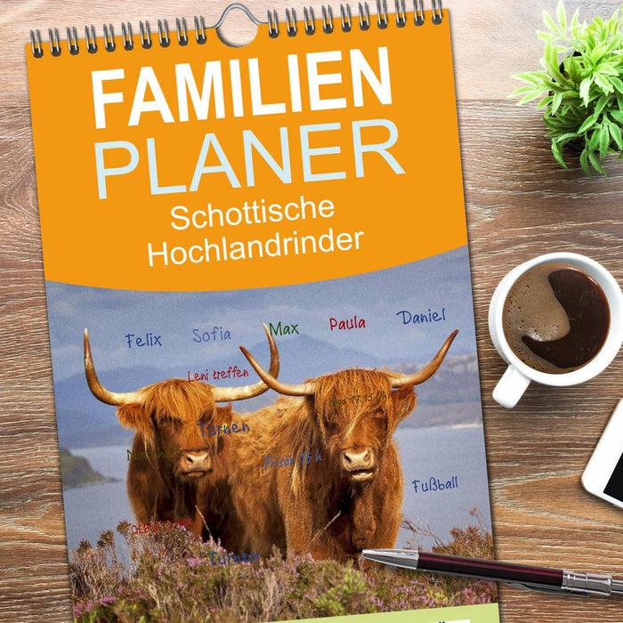 Schottische Hochlandrinder. Freundlich, schön und robust (CALVENDO Familienplaner 2026)