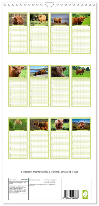 Schottische Hochlandrinder. Freundlich, schön und robust (CALVENDO Familienplaner 2026)